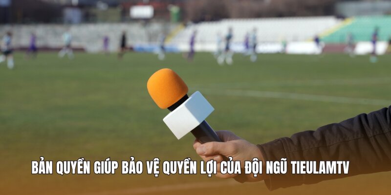 Bản quyền giúp bảo vệ quyền lợi của đội ngũ Tieulamtv