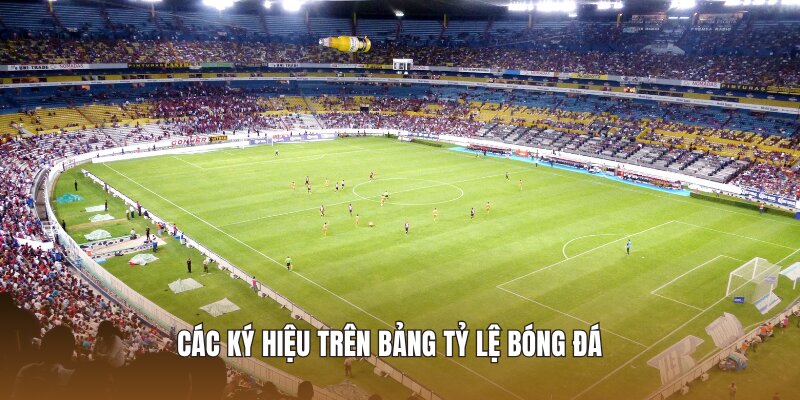 Các ký hiệu trên bảng tỷ lệ bóng đá 