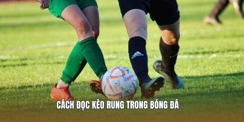 Cách đọc kèo rung trong bóng đá
