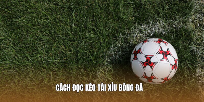 Cách đọc kèo tài xỉu bóng đá