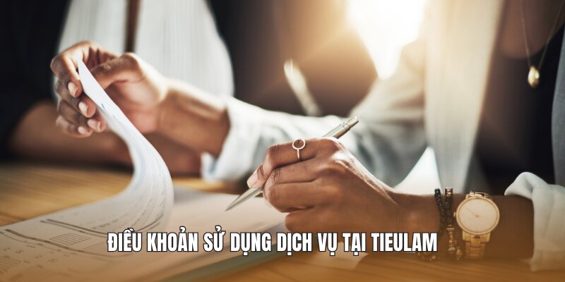 Điều khoản sử dụng dịch vụ tại Tieulam