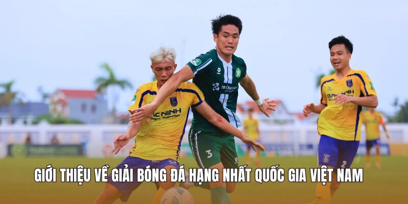 Giới thiệu về Giải bóng đá Hạng Nhất Quốc Gia Việt Nam