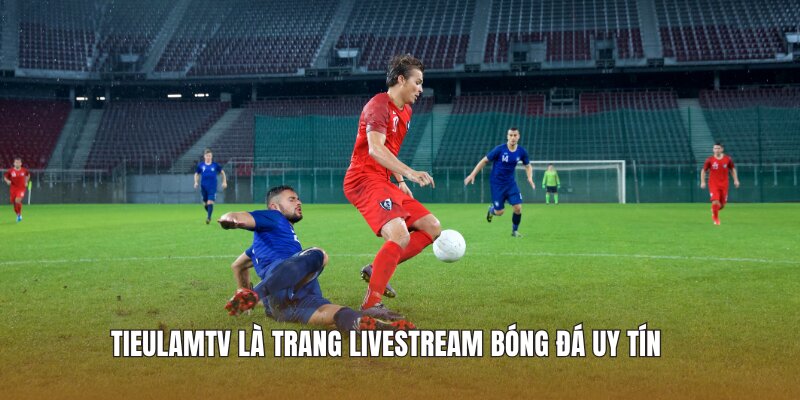Tieulamtv là trang livestream bóng đá uy tín