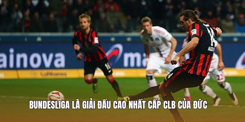 Bundesliga là giải đấu cao nhất cấp CLB của Đức