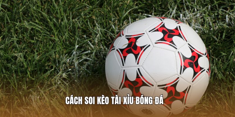 Cách soi kèo tài xỉu bóng đá