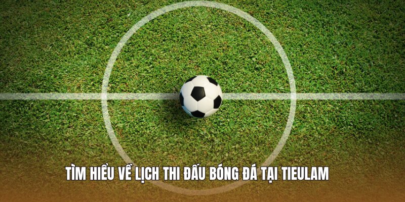 Tìm hiểu về lịch thi đấu bóng đá tại Tieulam