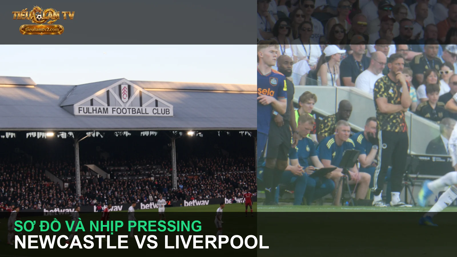 Newcastle United và Liverpool trong ảnh thi đấu năm 2026 - ảnh trong bài