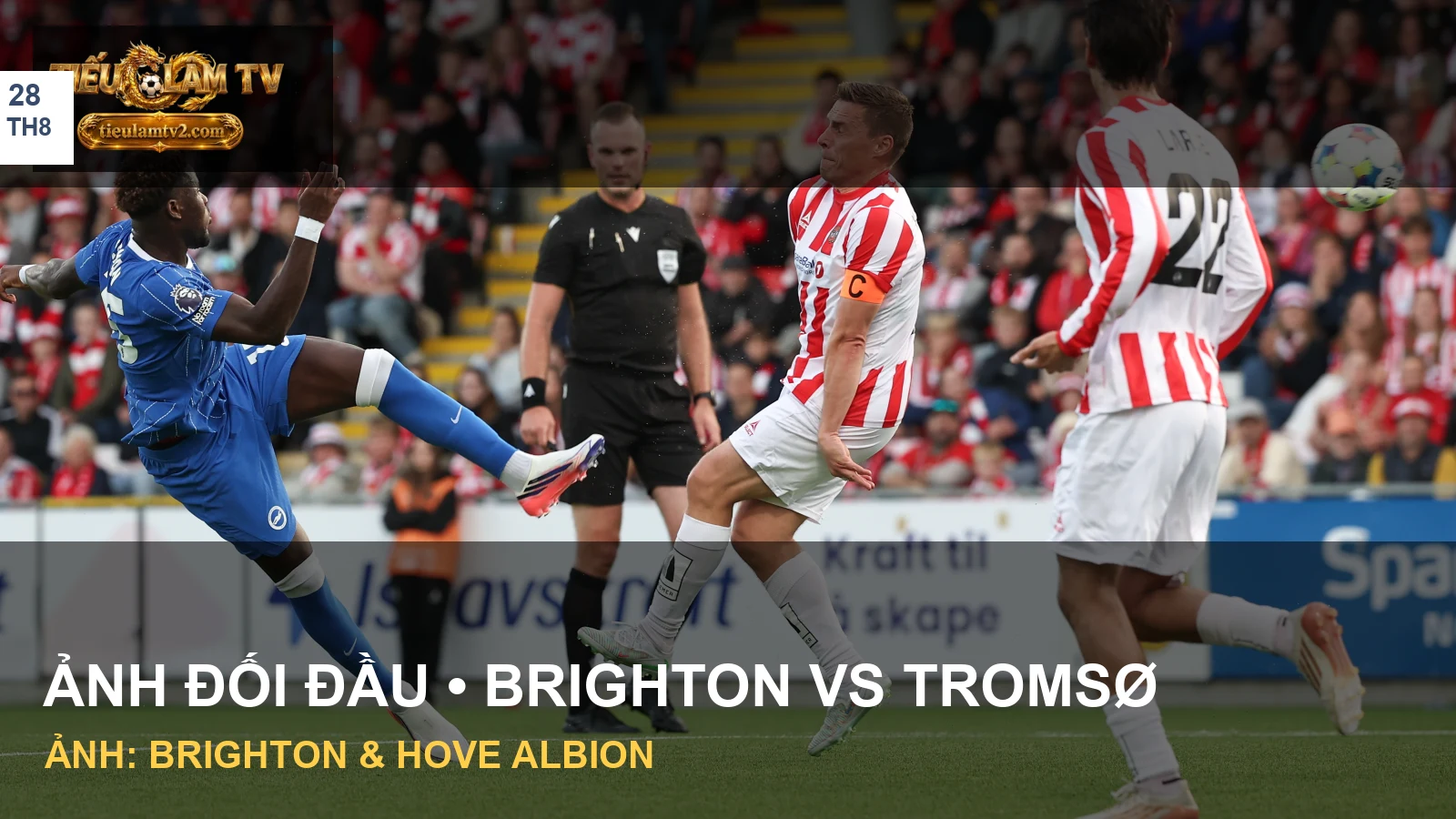 Cầu thủ Brighton dẫn bóng trước hàng thủ Tromsø