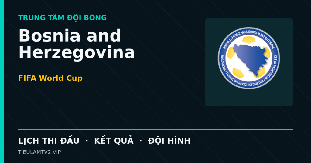 Đồ họa bóng đá Bosnia and Herzegovina tại FIFA World Cup
