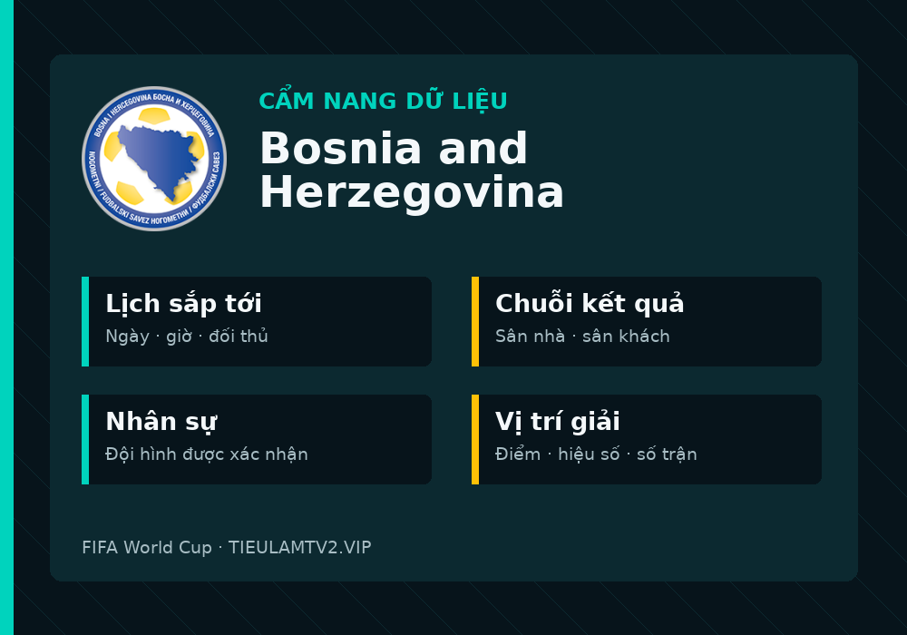 Phân tích phong độ và lối chơi Bosnia and Herzegovina