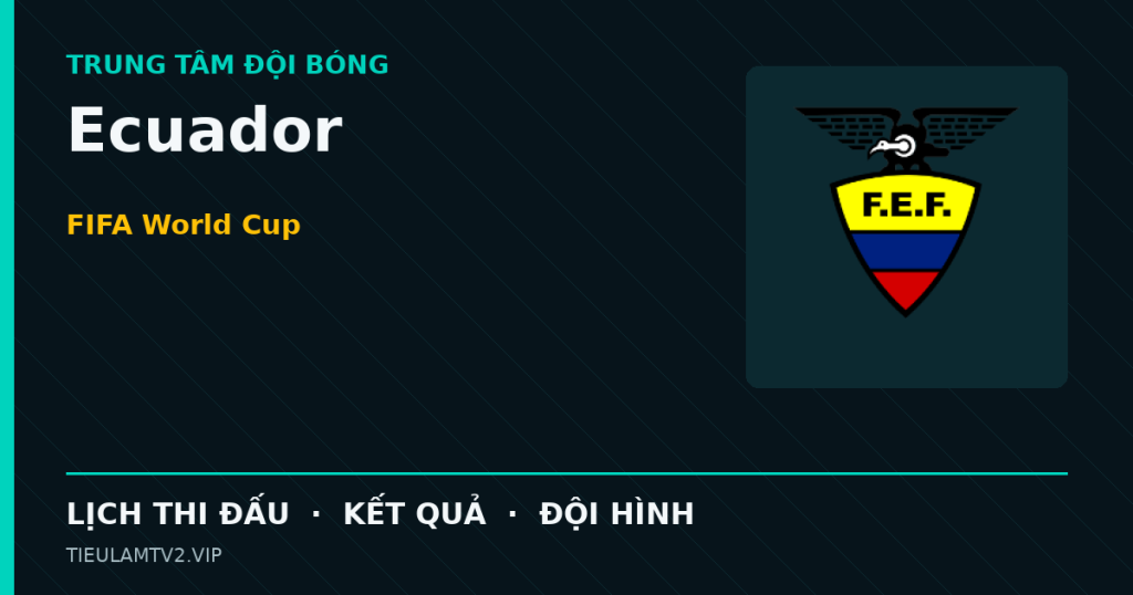 Đồ họa bóng đá Ecuador tại FIFA World Cup