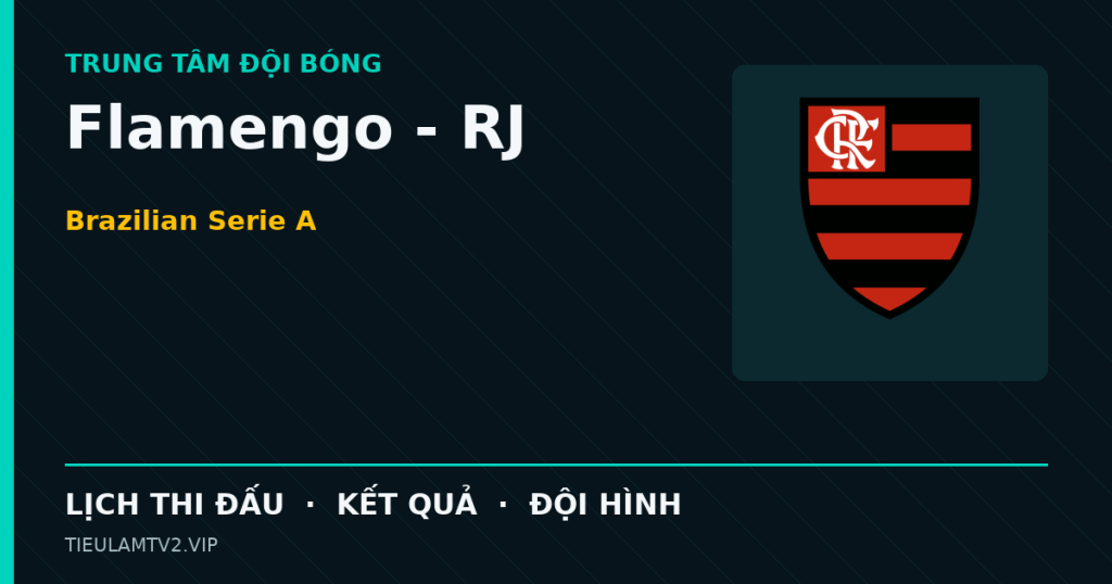 Đồ họa bóng đá Flamengo - RJ tại Brazilian Serie A