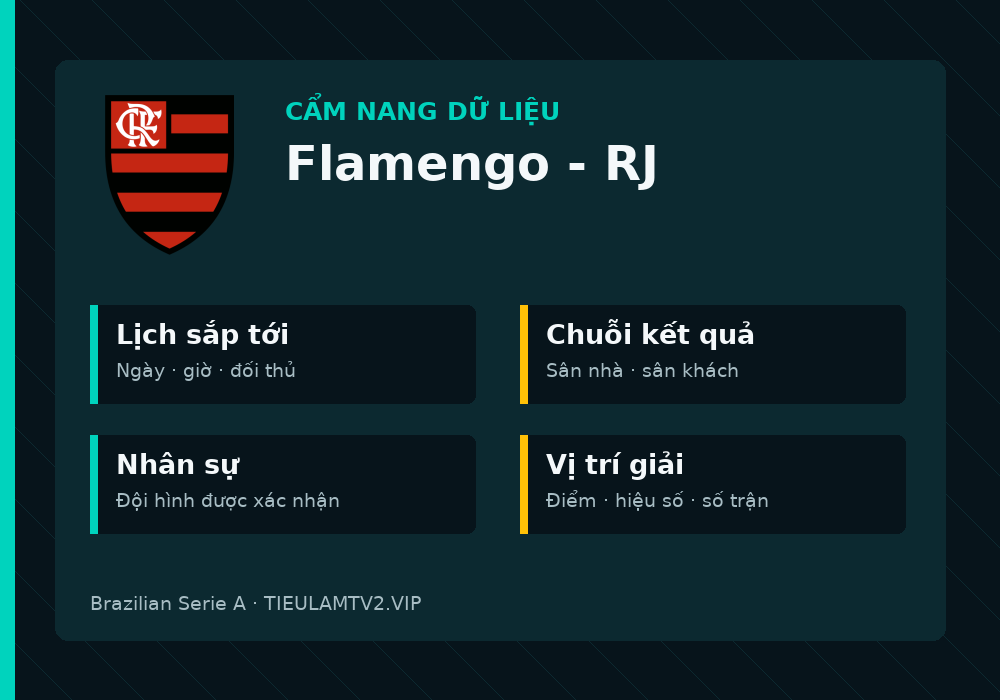 Phân tích phong độ và lối chơi Flamengo - RJ