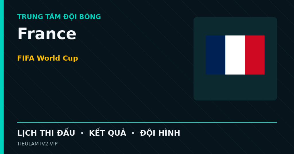 Đồ họa bóng đá France tại FIFA World Cup