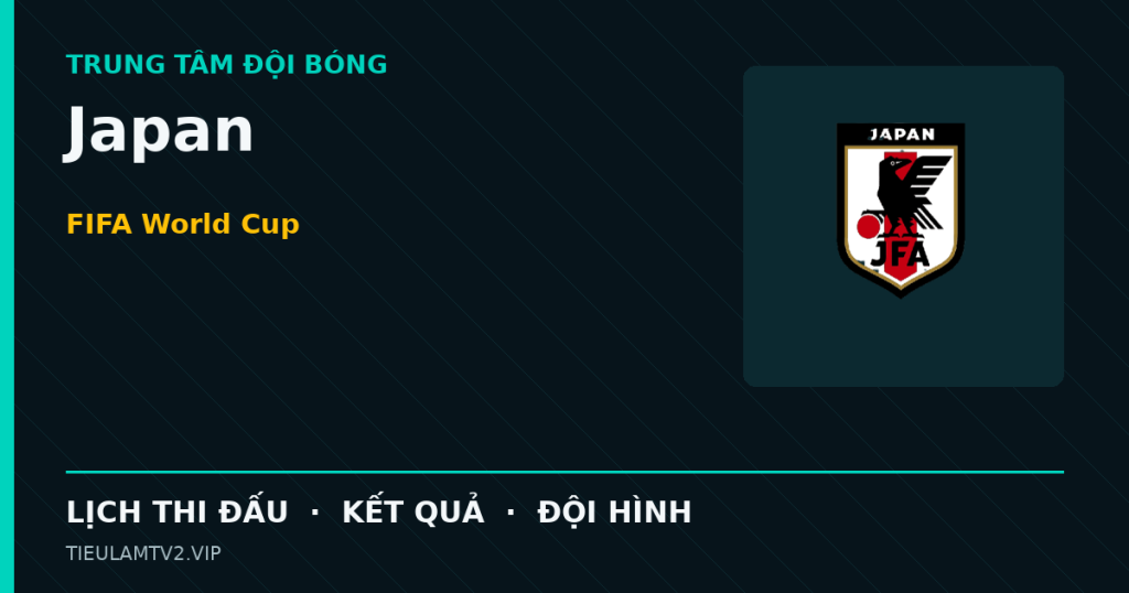 Đồ họa bóng đá Japan tại FIFA World Cup