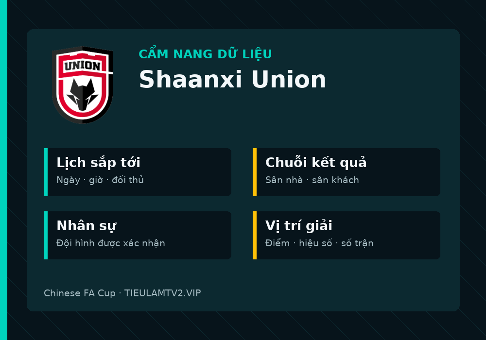 Phân tích phong độ và lối chơi Shaanxi Union