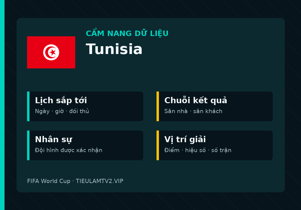 Phân tích phong độ và lối chơi Tunisia