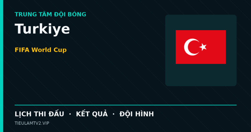 Đồ họa bóng đá Turkiye tại FIFA World Cup